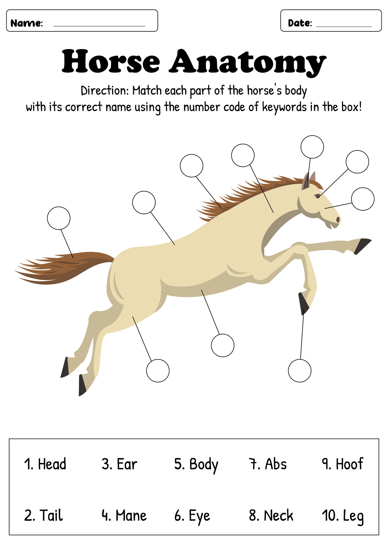 Identifying Horse Parts Classroom Resource