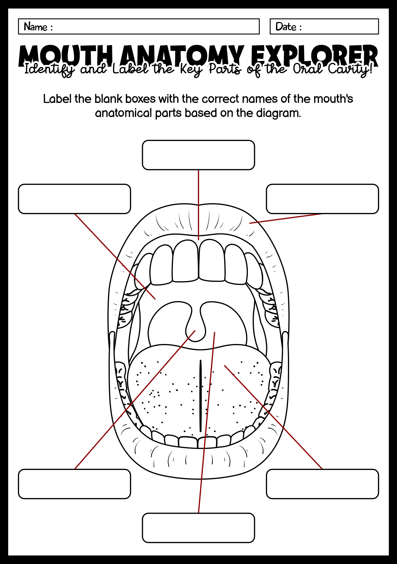 Mouth Anatomy Diagram Exercises