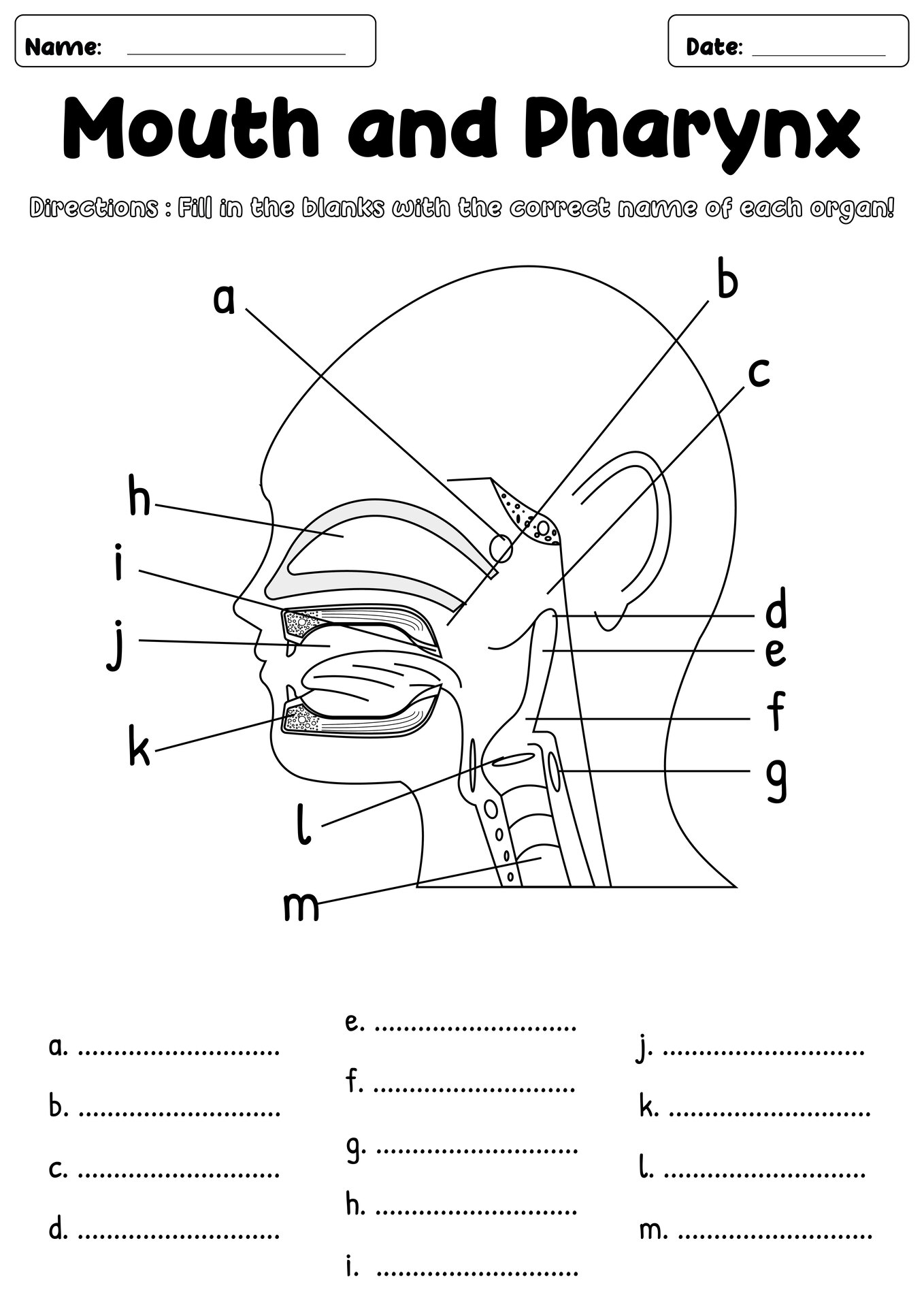 Mouth and Pharynx Anatomy Workbooks