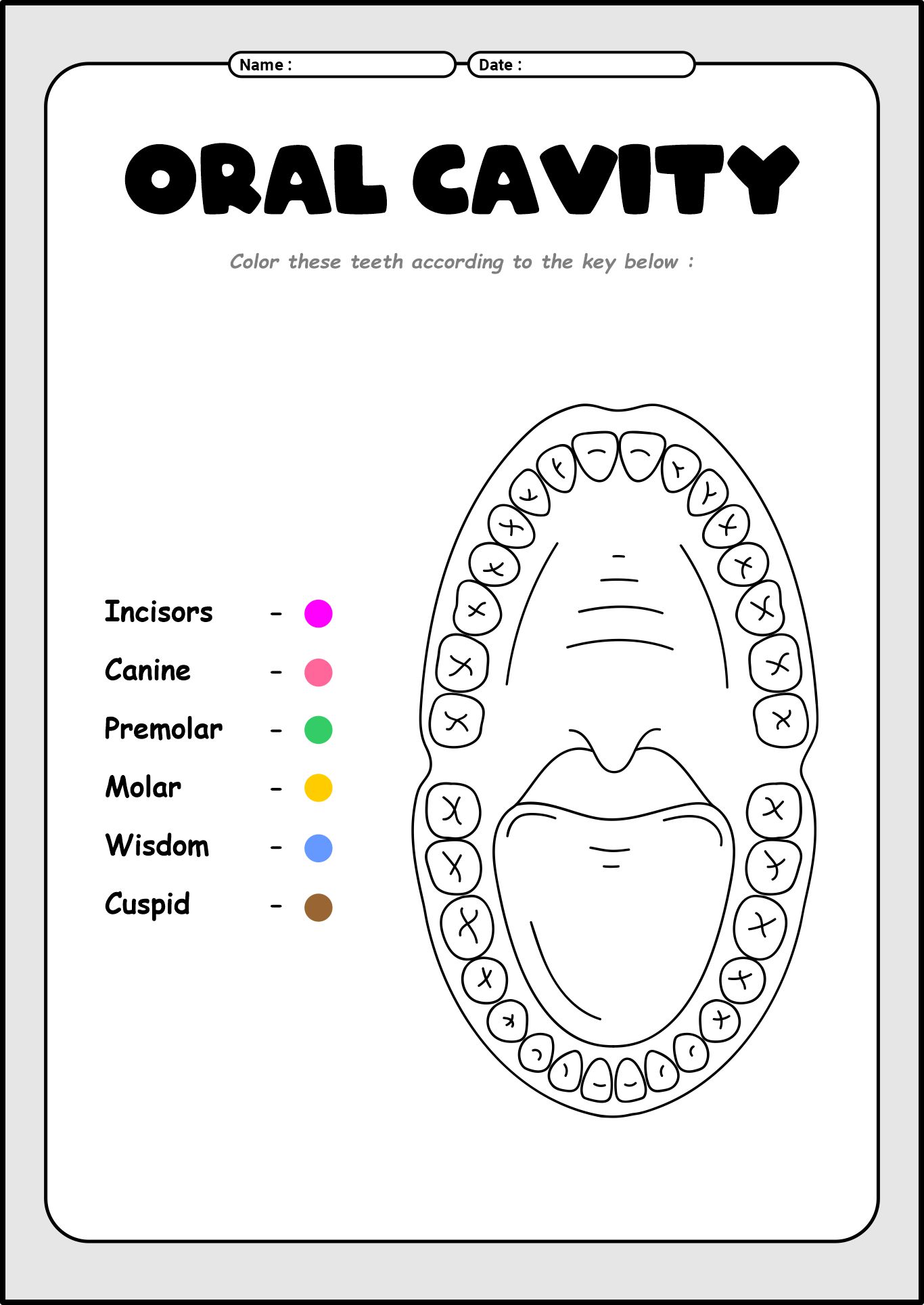 Oral Cavity Diagram Coloring Worksheets