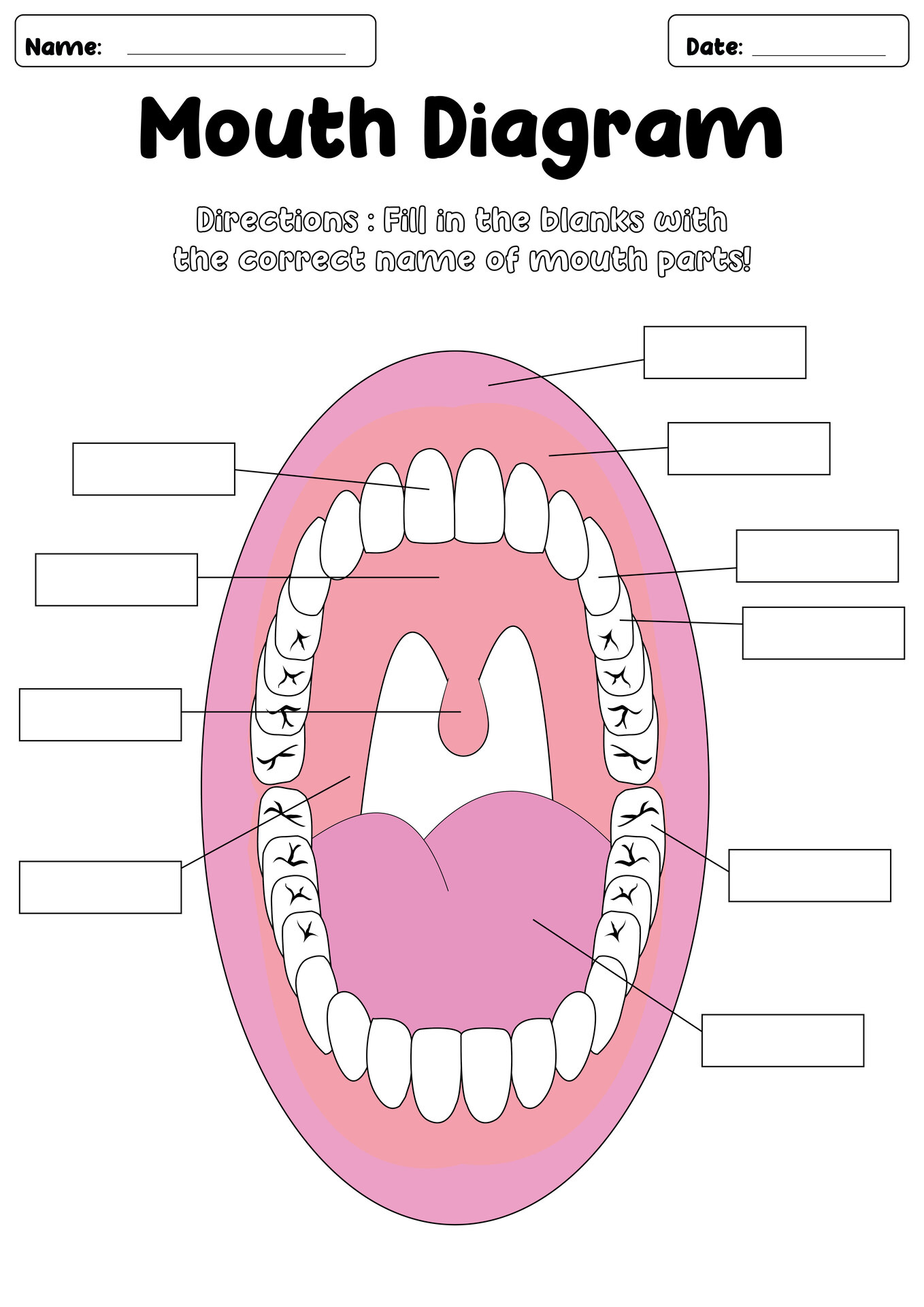 Oral Cavity Diagram Fill-in Sheets