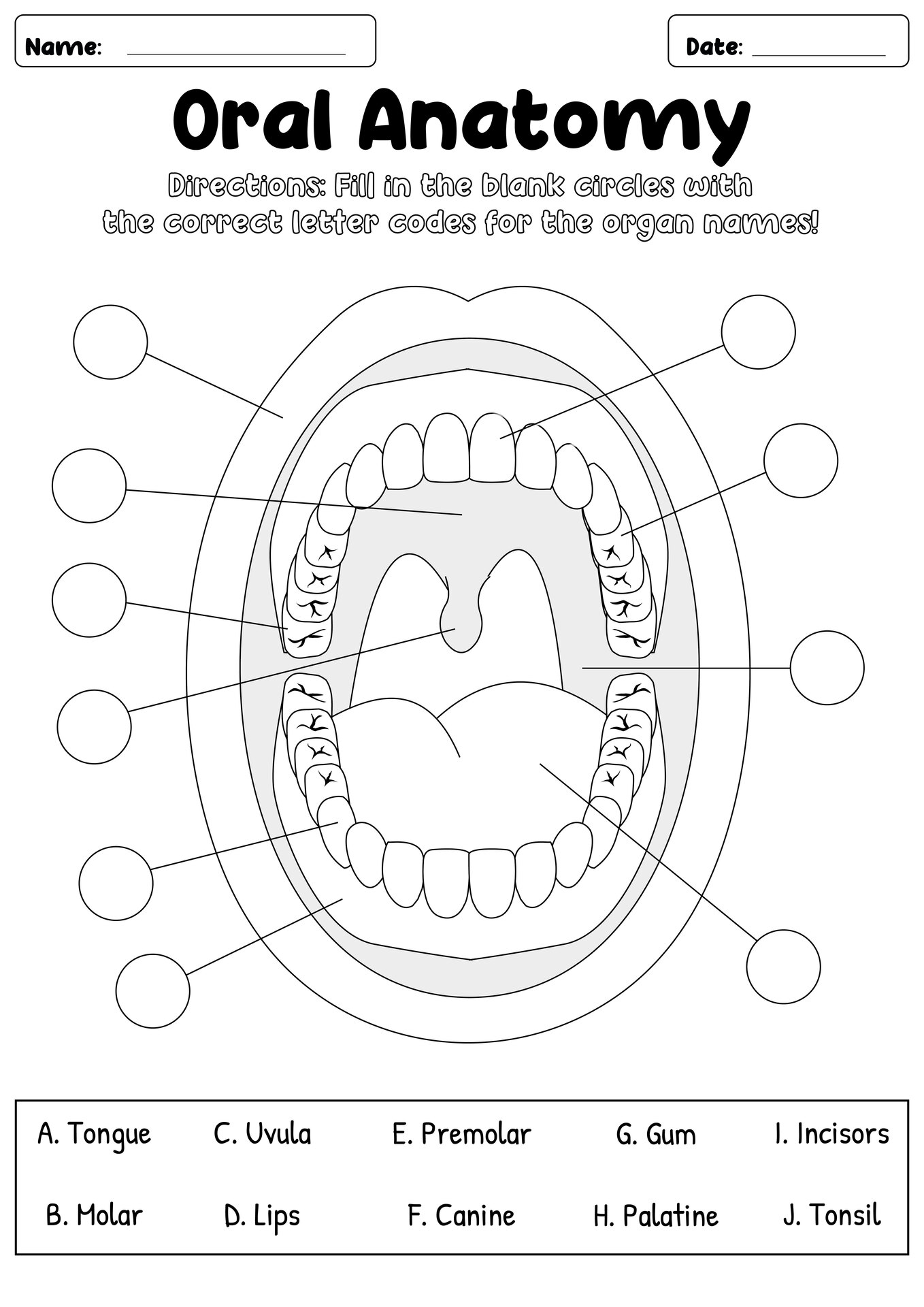 Oral Cavity Parts Quizzes and Exercises