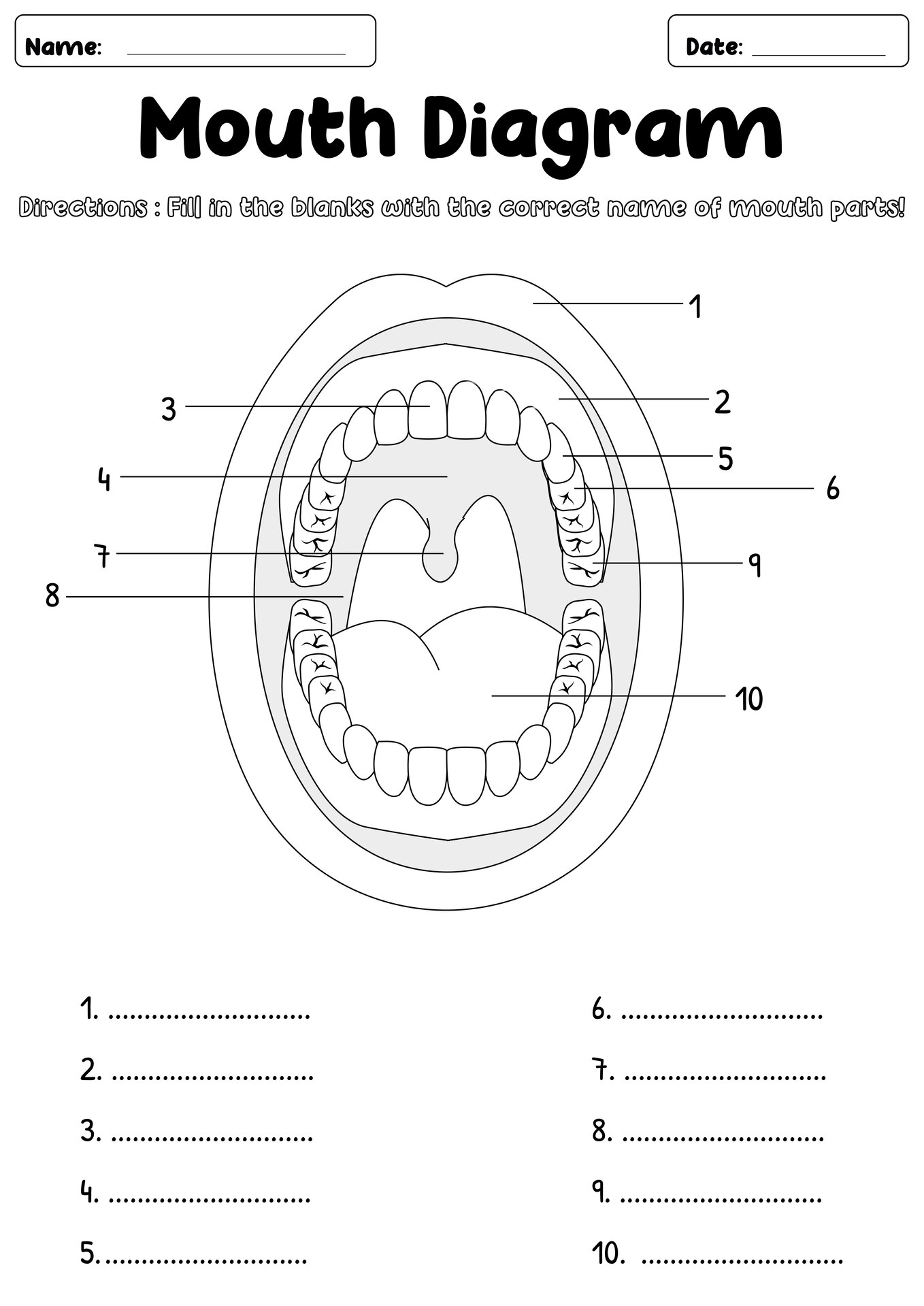 Oral Structure Identification Activity Sheet