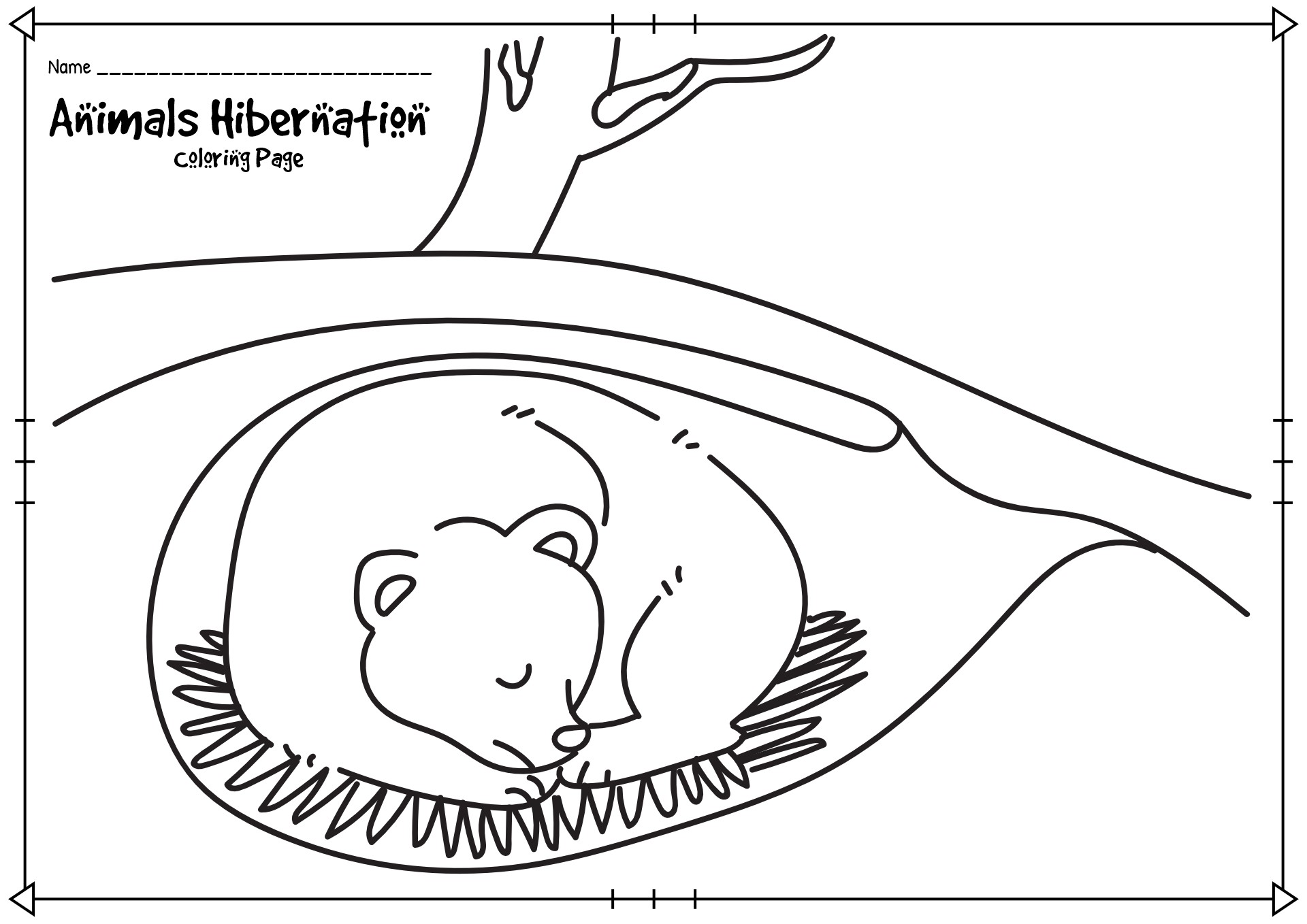 Preschool Hibernation Theme Worksheets