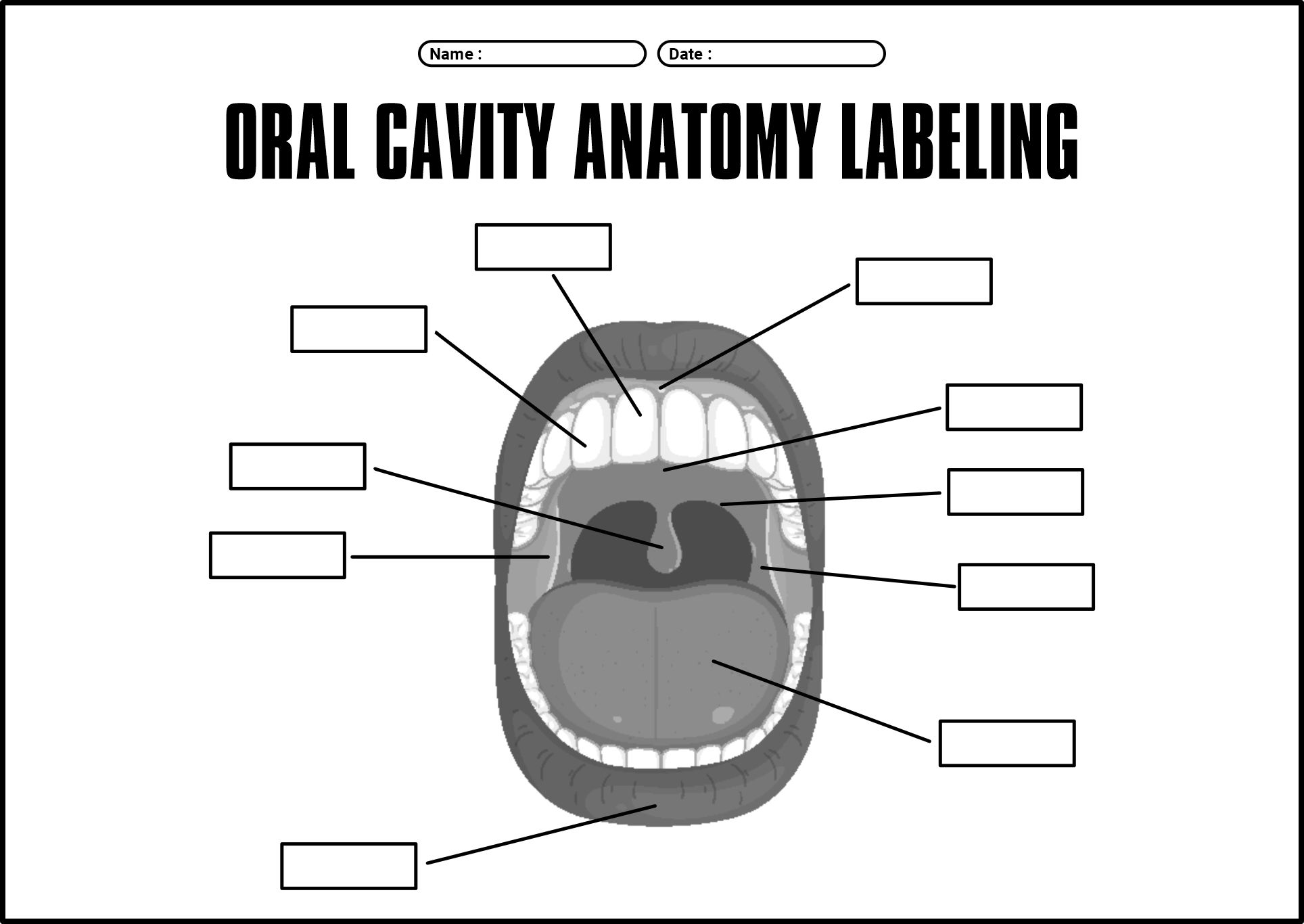 Printable Oral Cavity Anatomy Labeling Worksheets