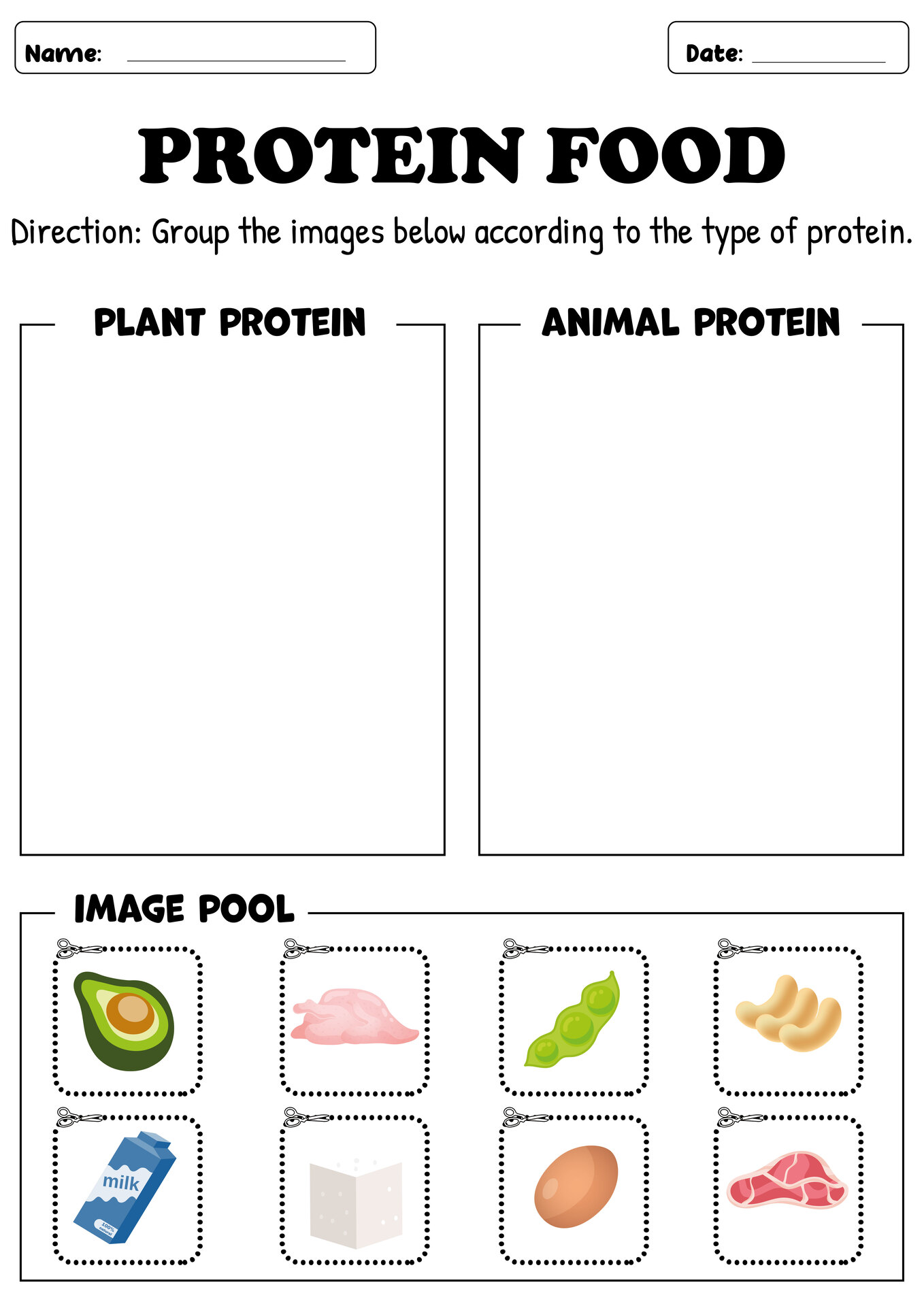 Protein Types Educational Worksheets