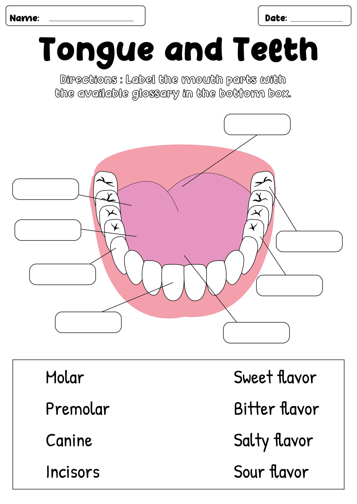 Tongue and Teeth Mapping Exercises