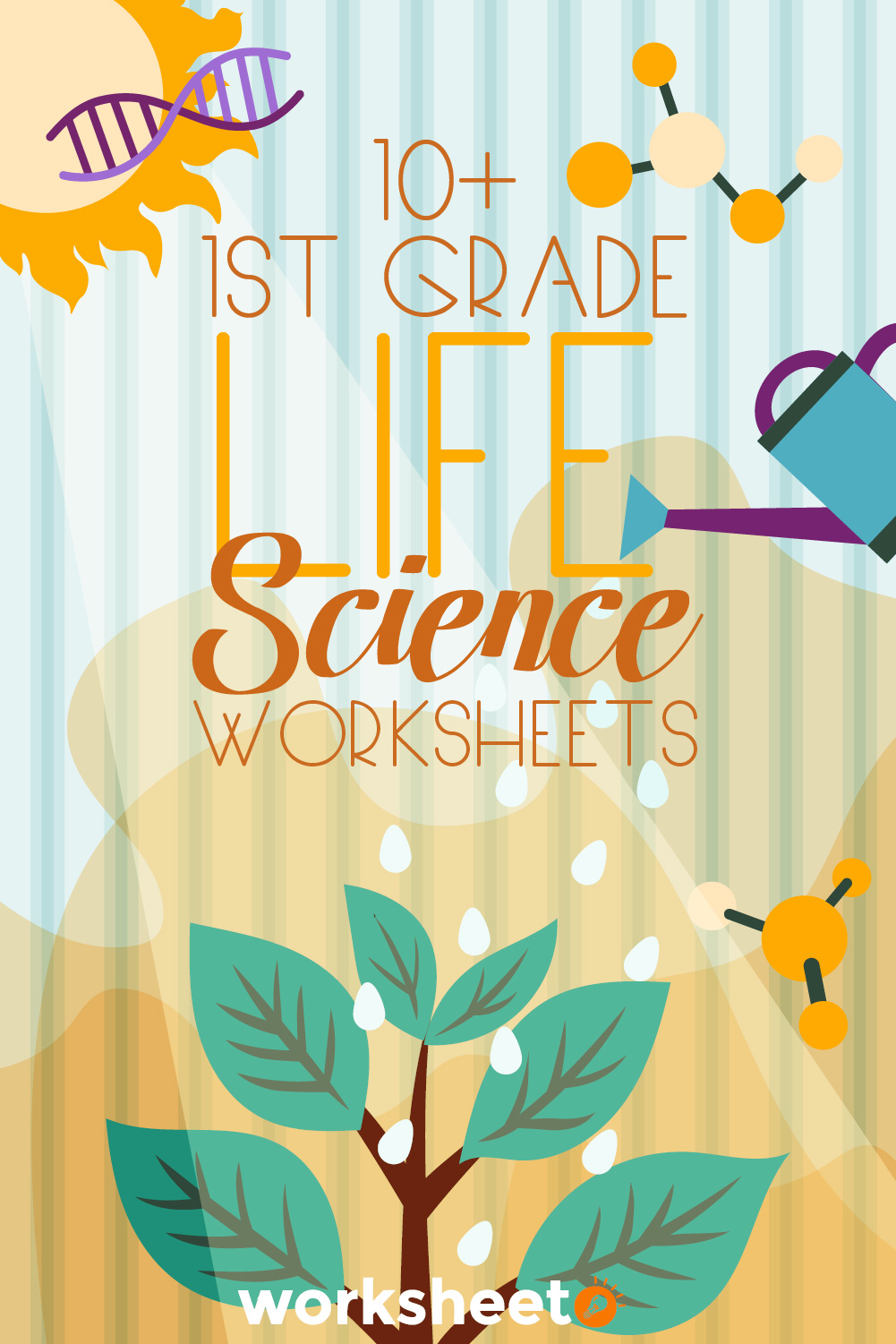 1st Grade Life Science Worksheets