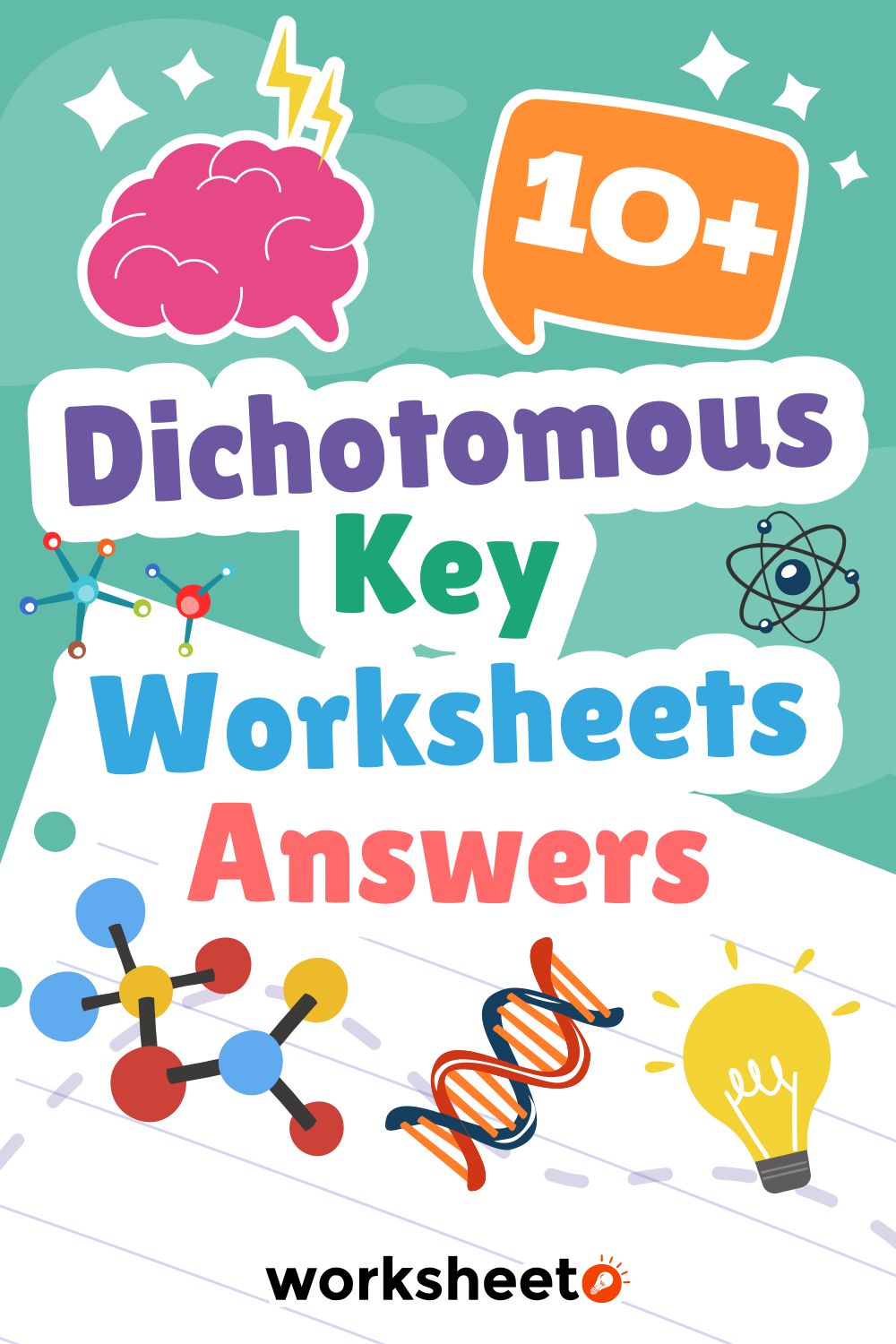 Dichotomous Key Worksheets Answers