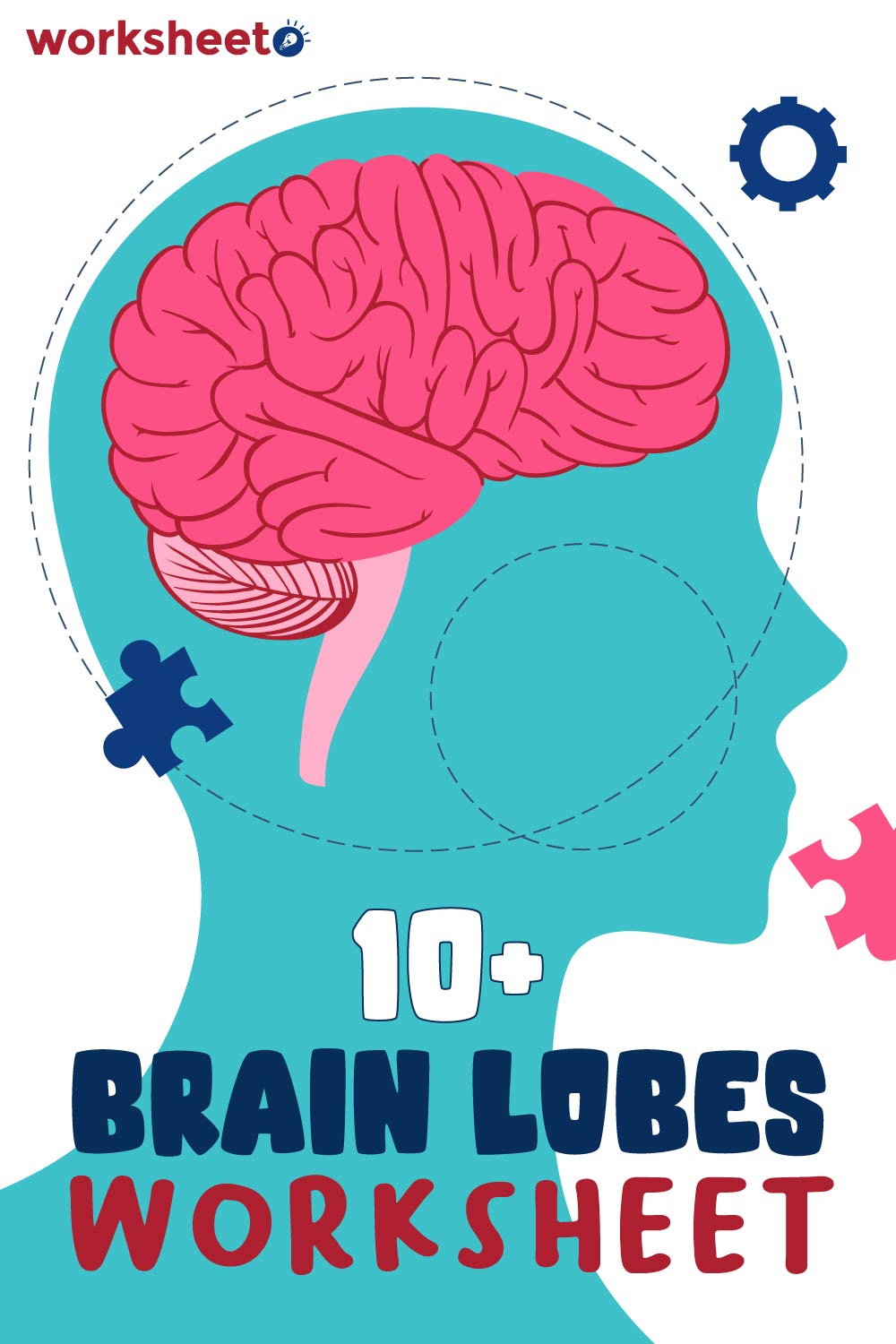 Brain Lobes Worksheet