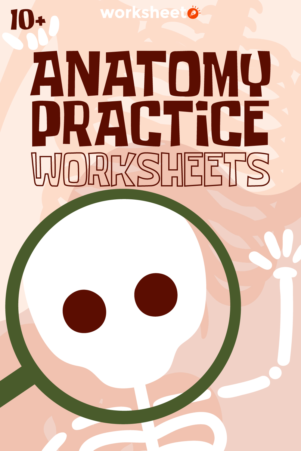 Anatomy Practice Worksheets