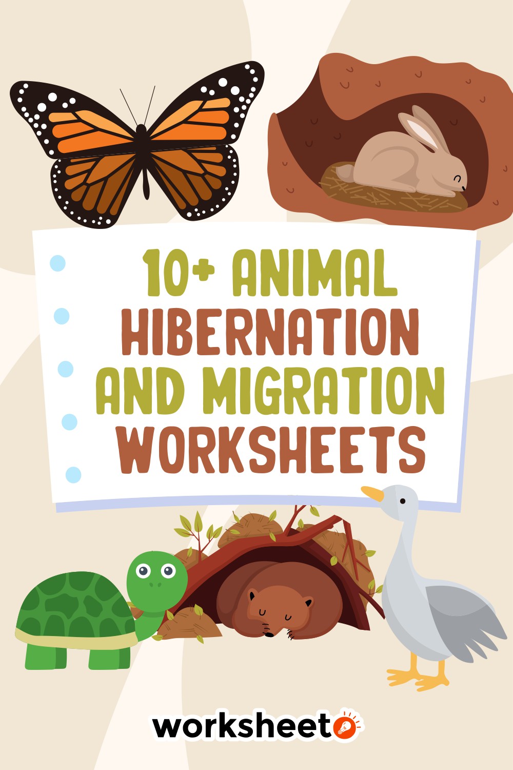 14 Images of Animal Hibernation And Migration Worksheets