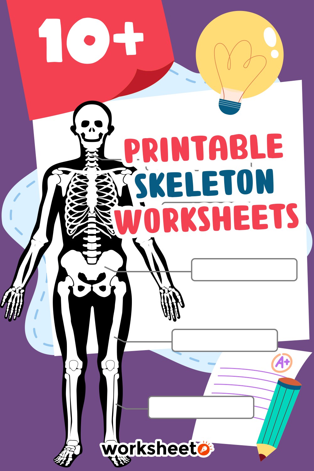 Printable Skeleton Worksheets