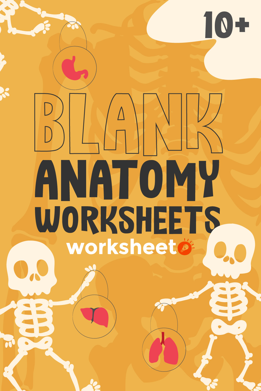 Blank Anatomy Worksheets