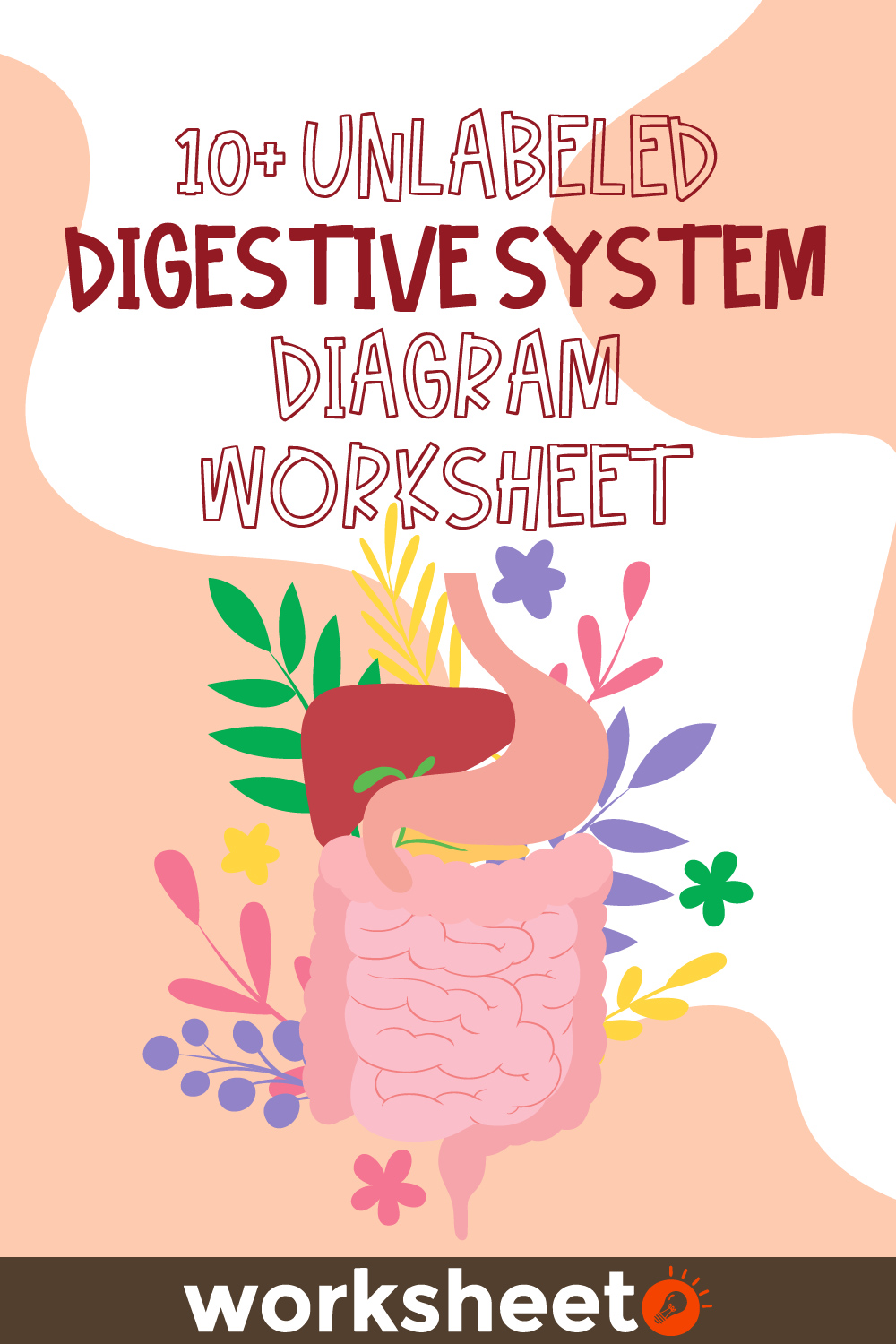 Unlabeled Digestive System Diagram Worksheet