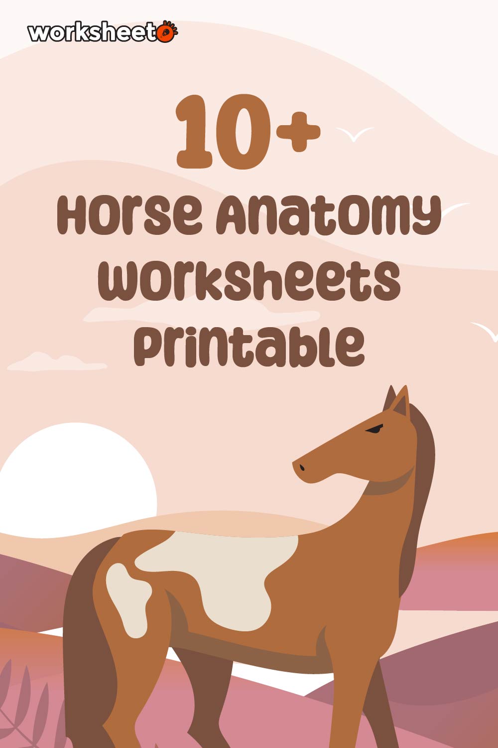 Horse Anatomy Worksheets Printable