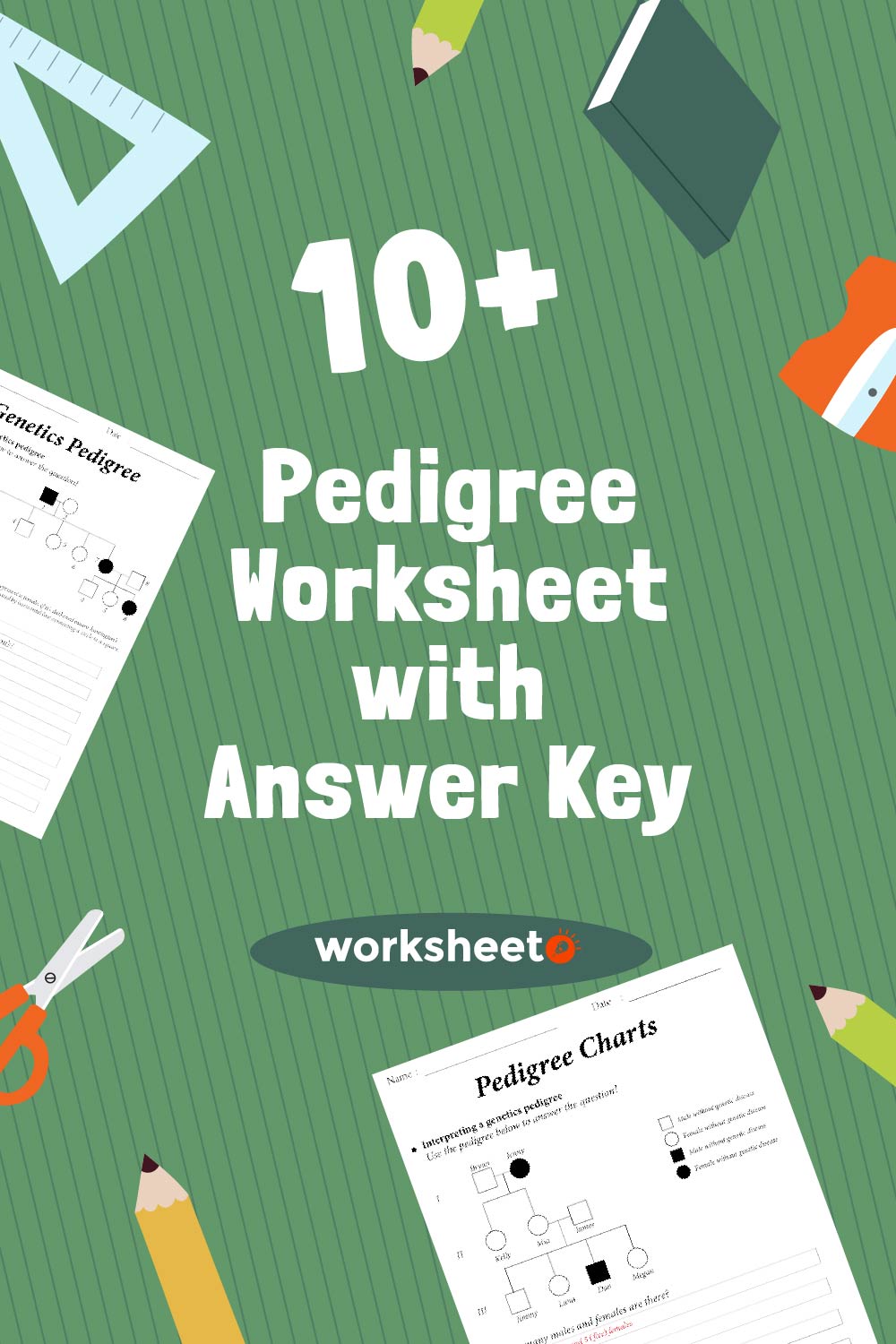 Pedigree Worksheet with Answer Key